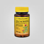 Alcachofa web slika