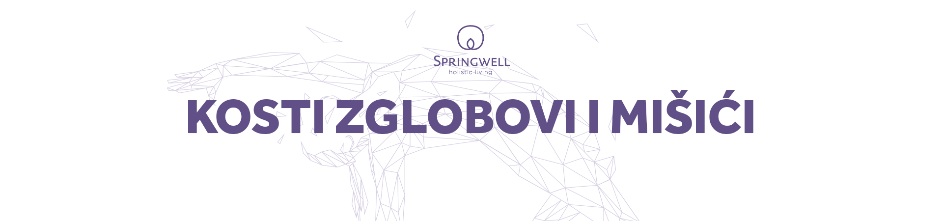 kosti zglobovi mišići baner kosti zglobovi mišići kategorija proizvoda