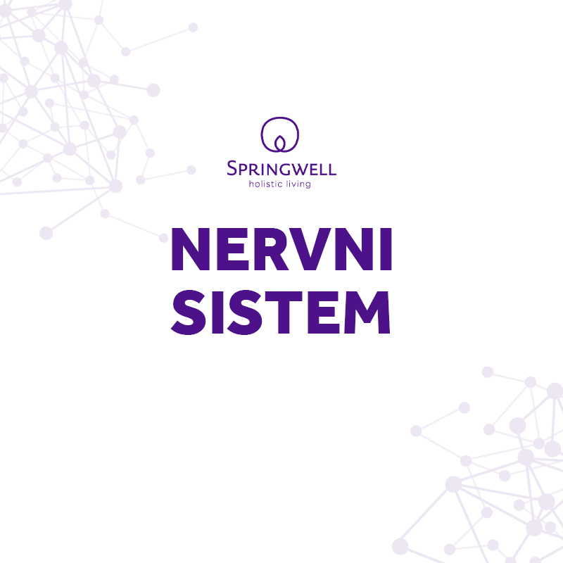 nervni sistem baner mobile nervni sistem mobilna verzija